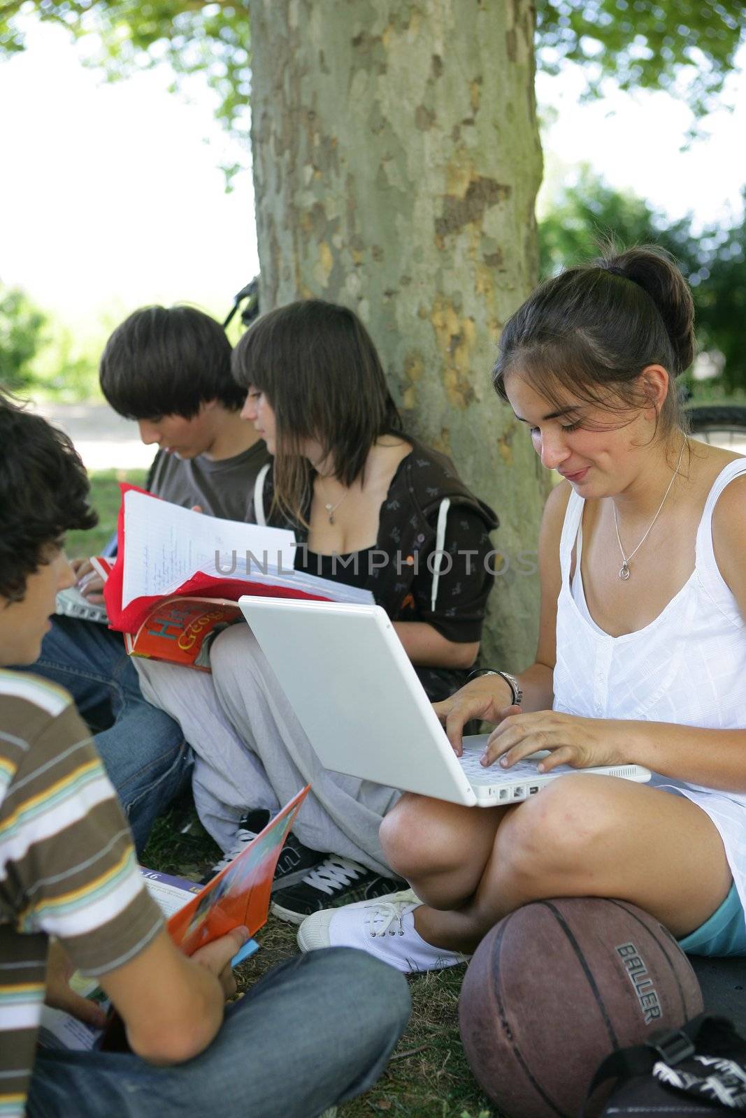 Teens sat by a tree studying