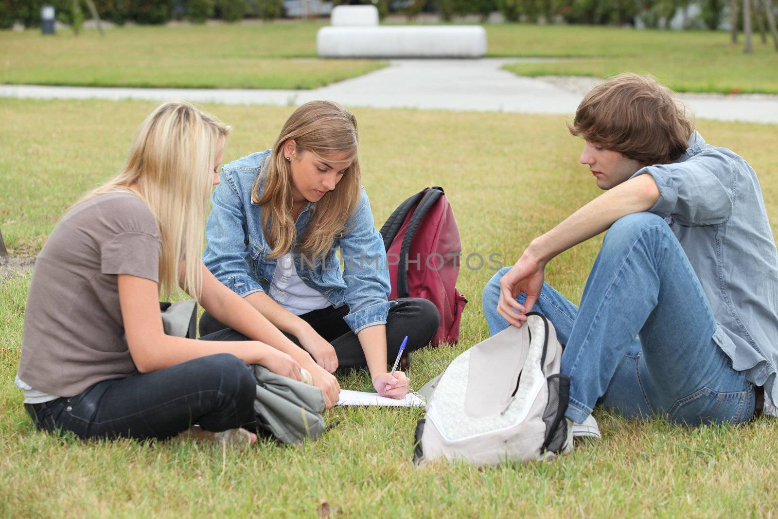 Students sitting in a park
