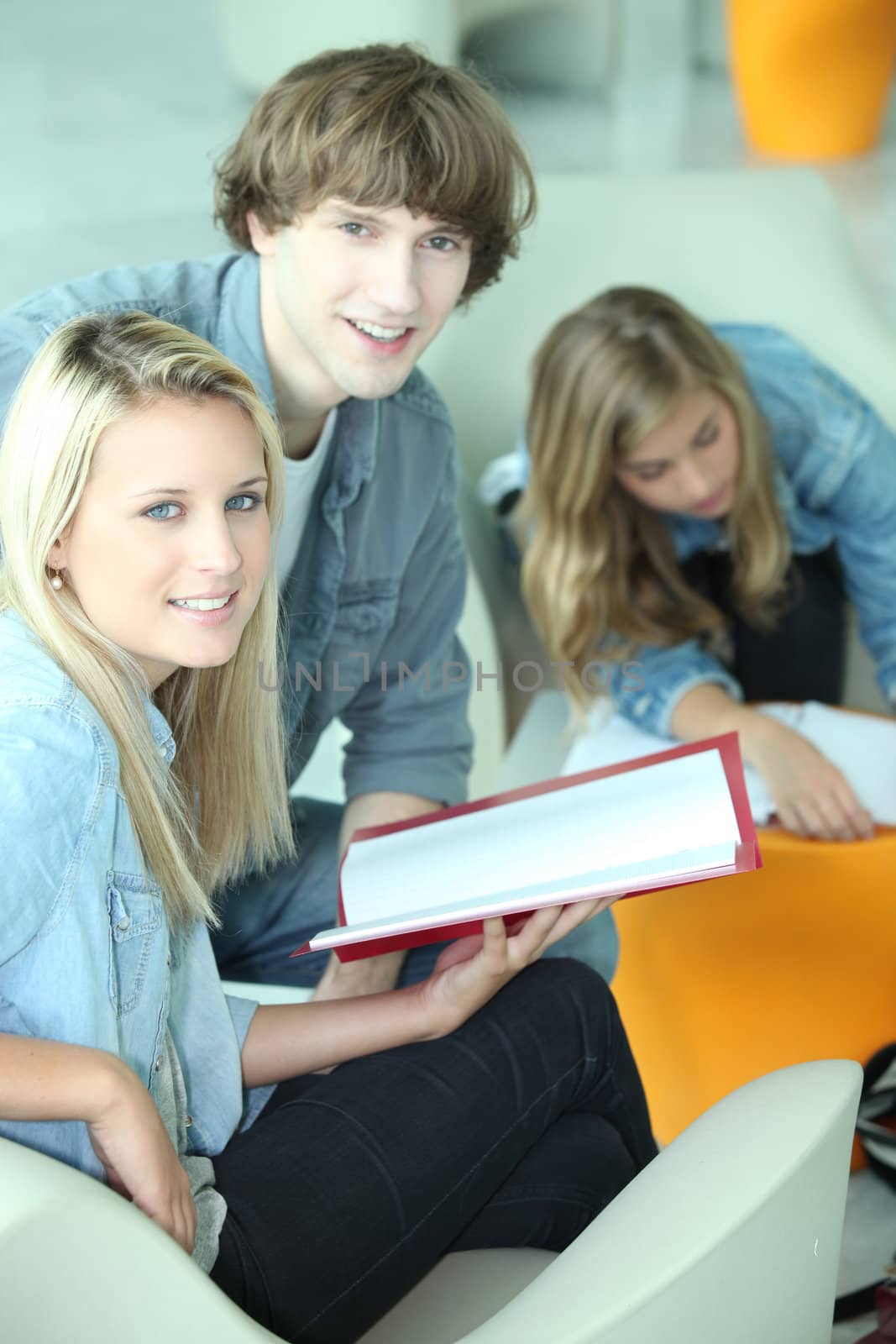 Students in a common room discussing an assignment