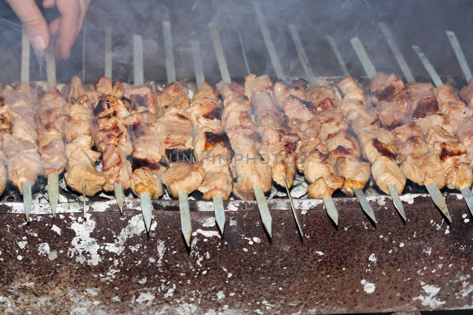 Pieces of marinated pork and chicken on barbecue 
