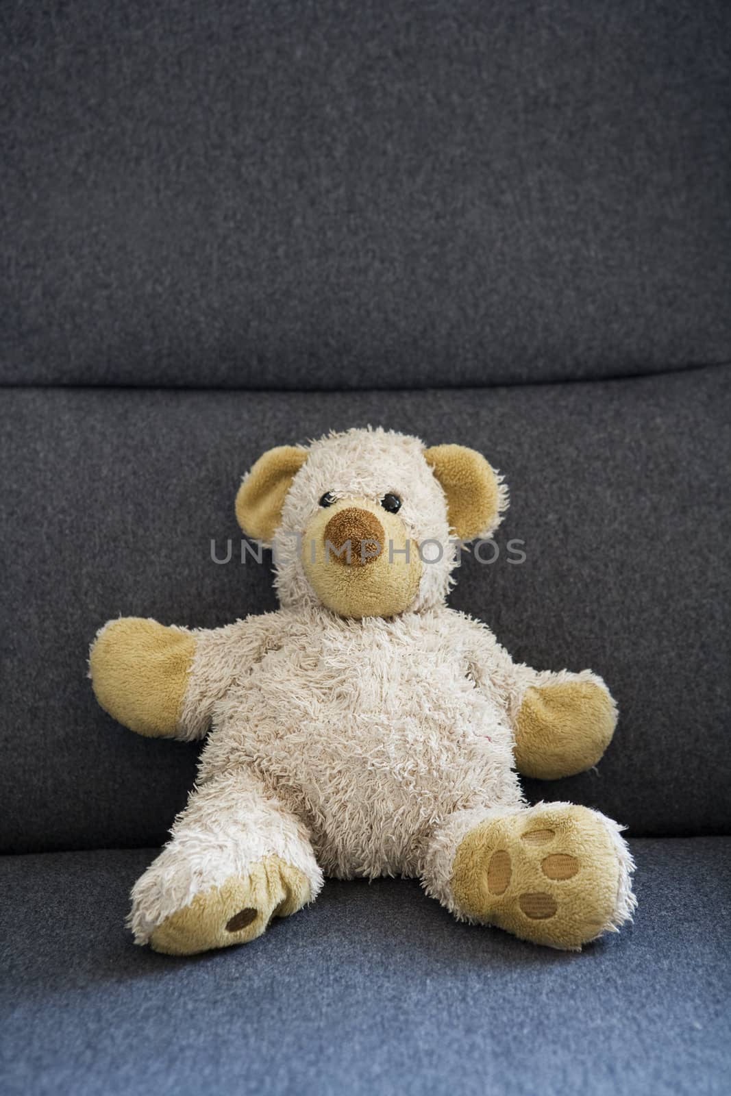 Single Teddybear sitting in a chair