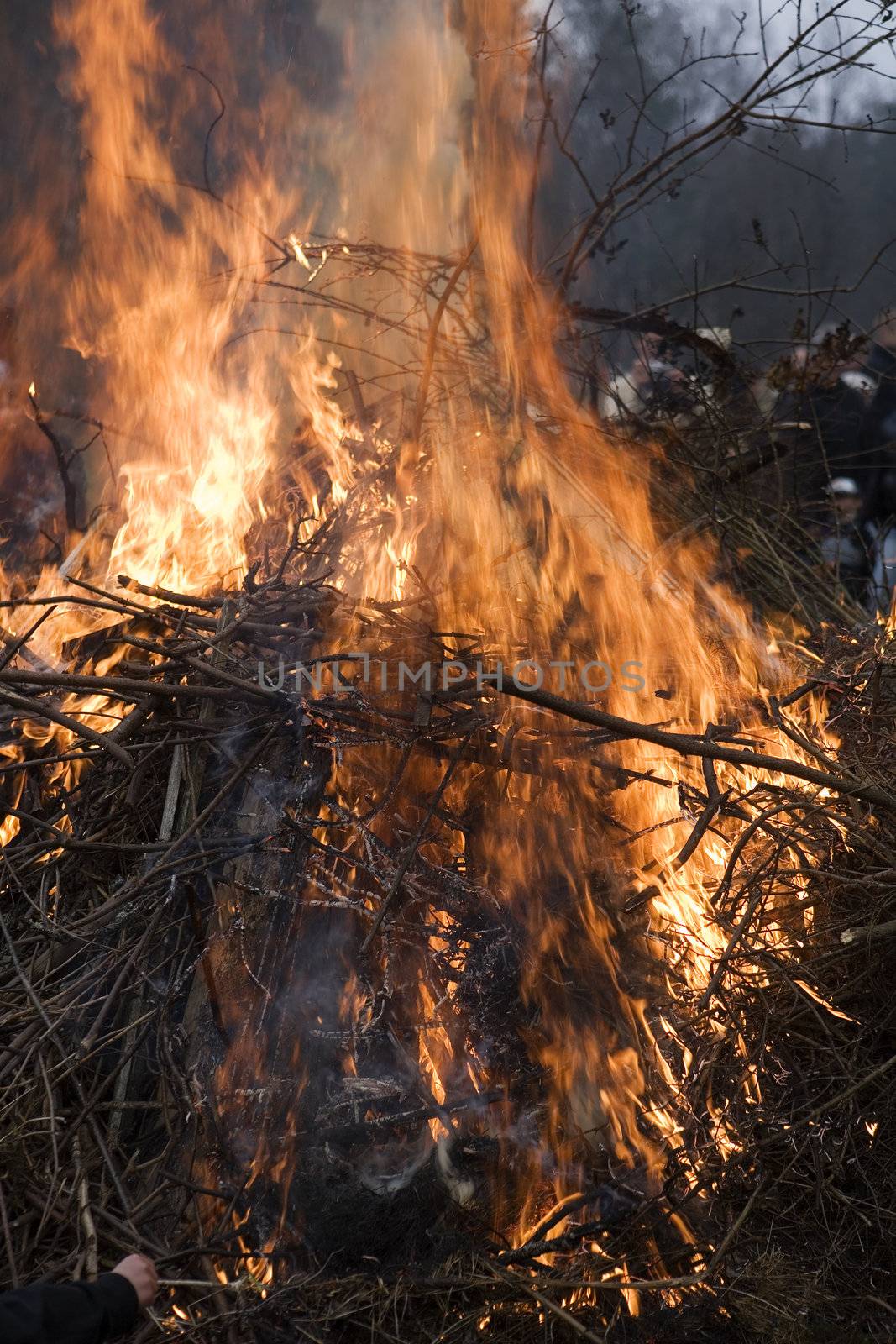 Campfire  at dawn with Selective focus