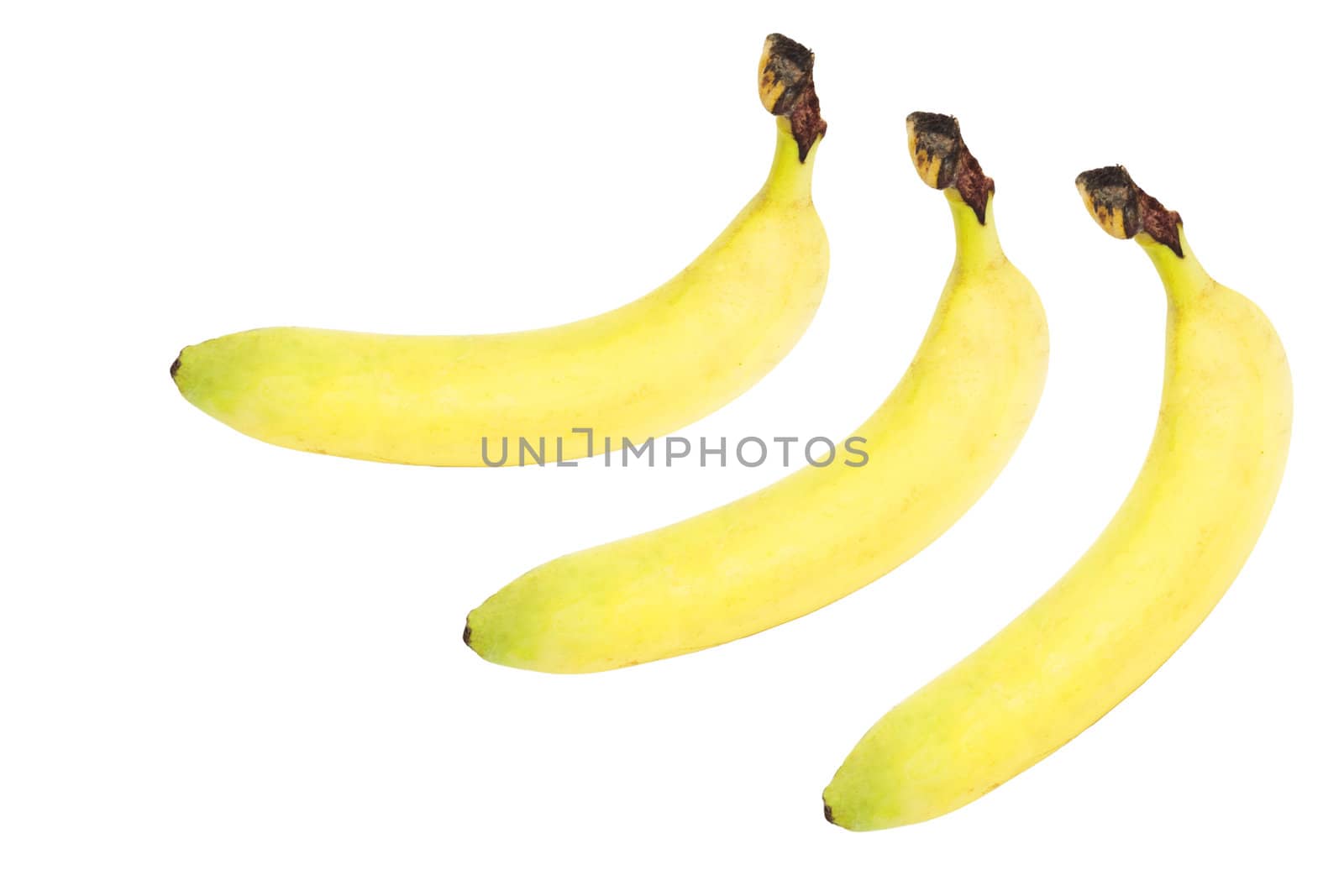 bananas by schankz
