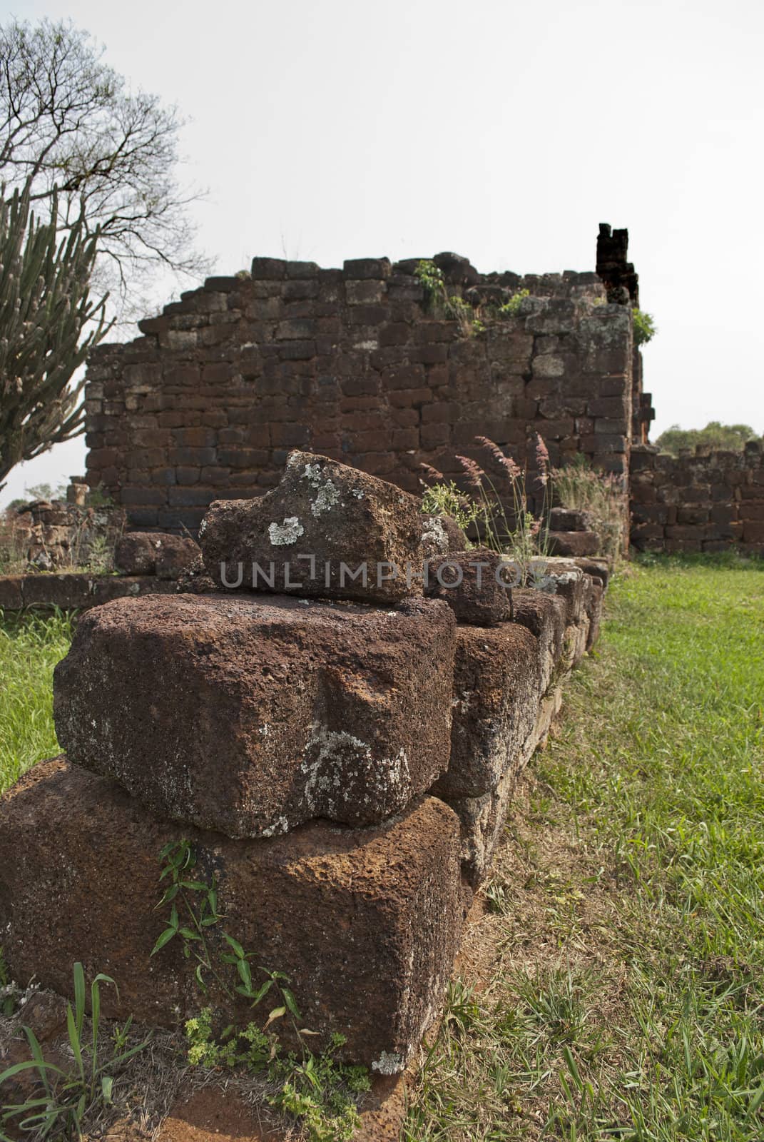 Ruins of San Ignacio, Argentina
