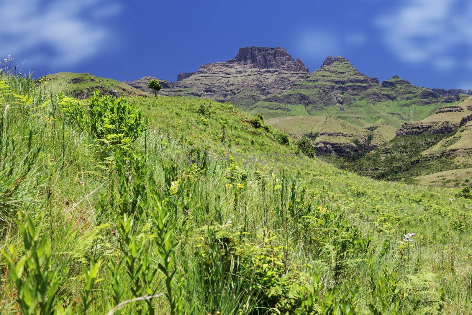 View across a lush green hillside of a mountain landscape with deep valleys and distant mountain peaks