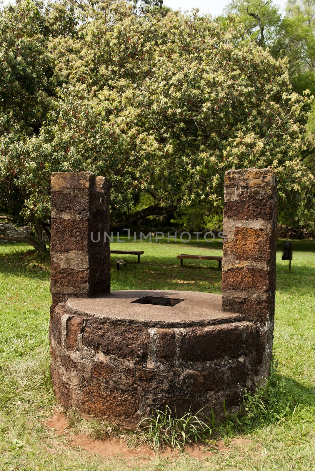 old well by lauria