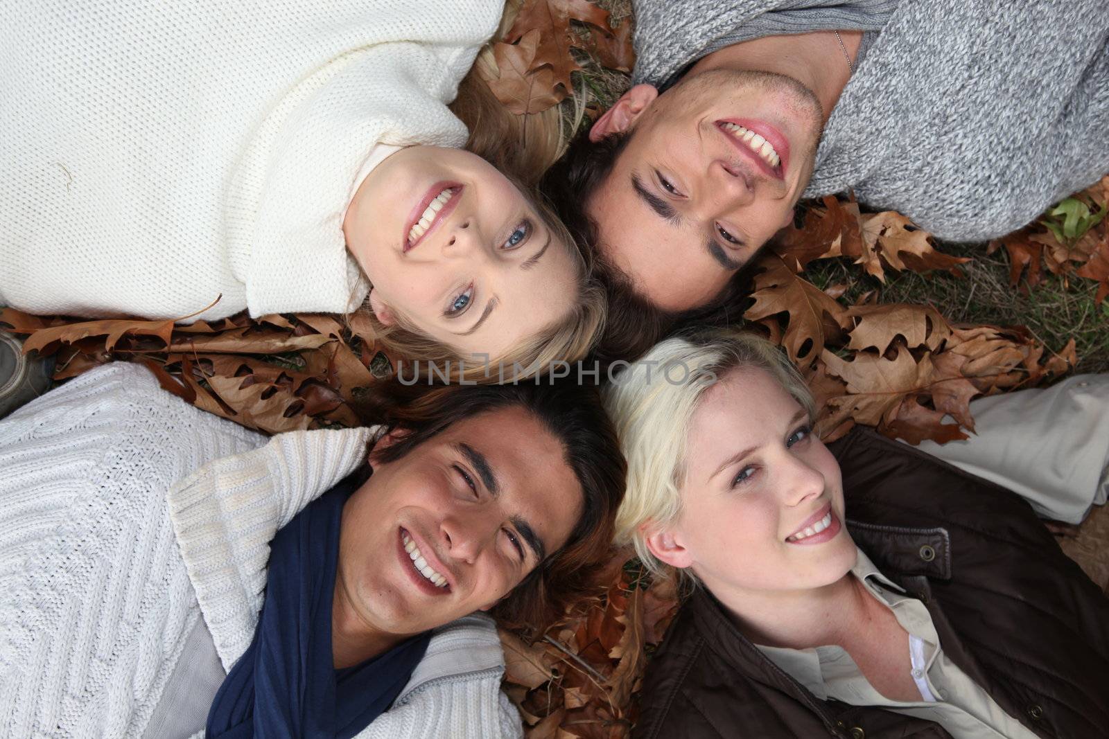 4 young people heads in the grass at autumn