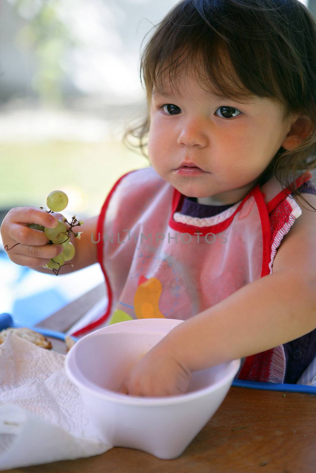 Little girl eating grapes from a bowl by phovoir