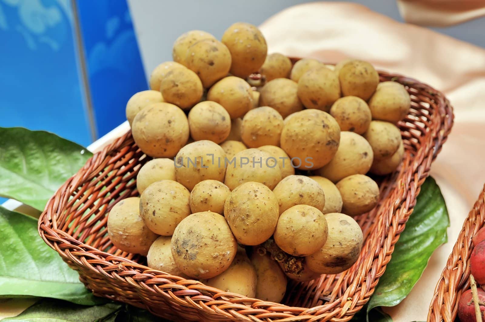 Longkong fruit ,Thai fruit