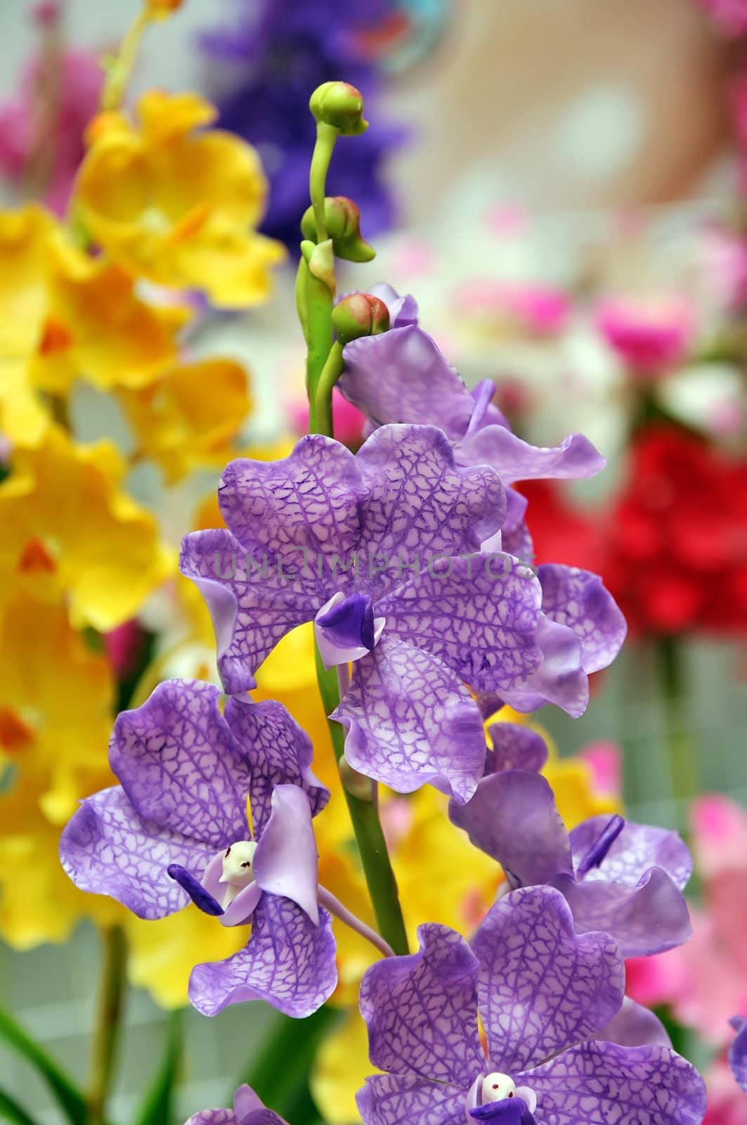 Beautiful bouquet of artificial Orchid flowers