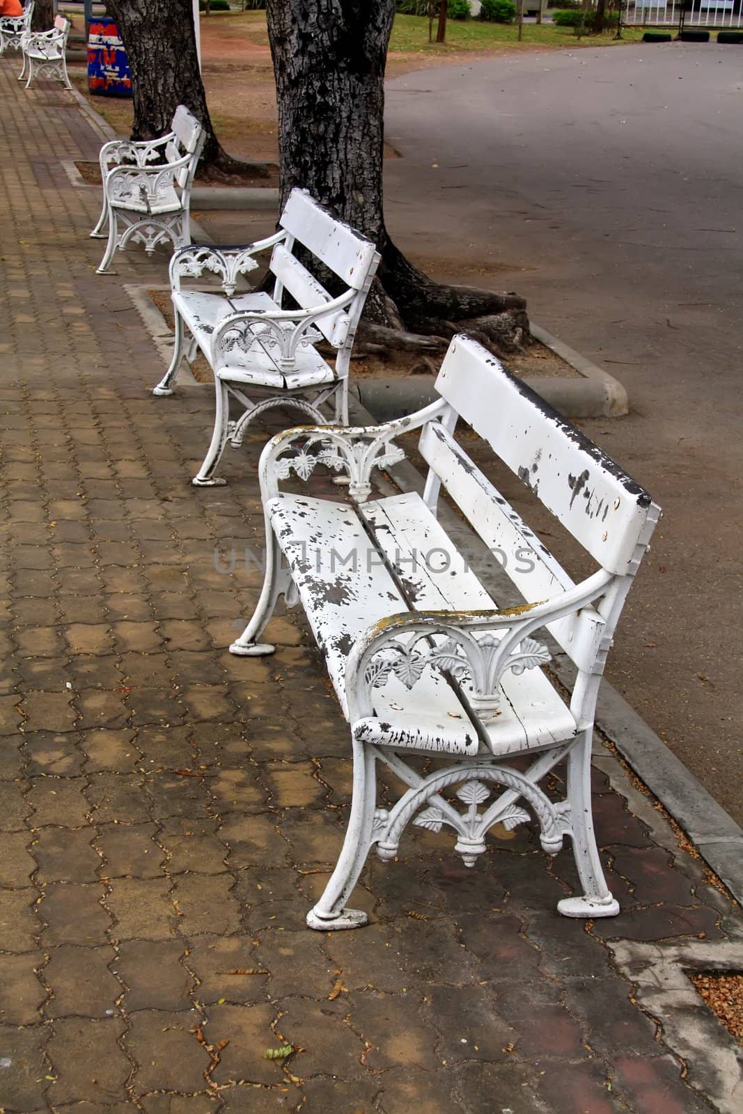 Chair in the garden