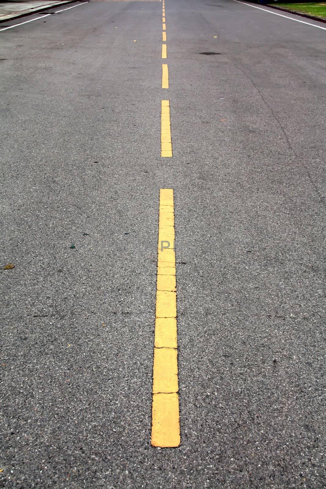 Yellow Line Road