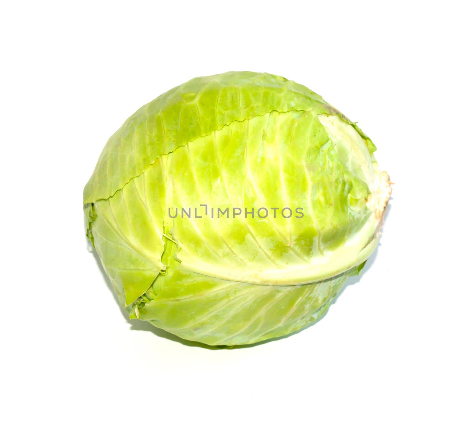 ripe cabbage isolated on white 