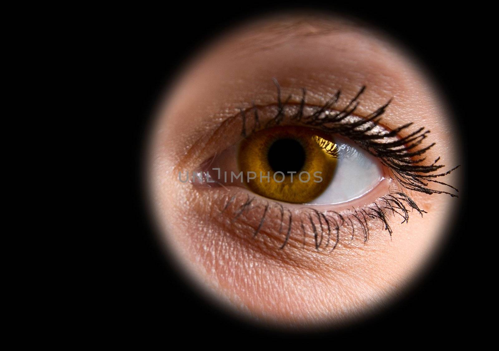 Close up of a woman golden  eye on black