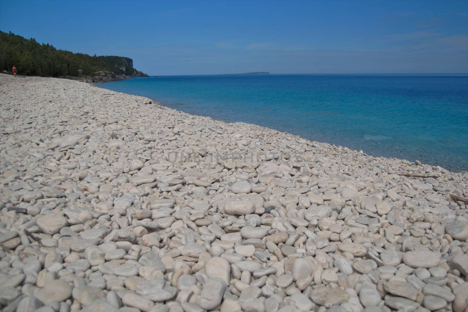 A dolomite Limestone Rock Beach on Georgian Bay, Ontario.