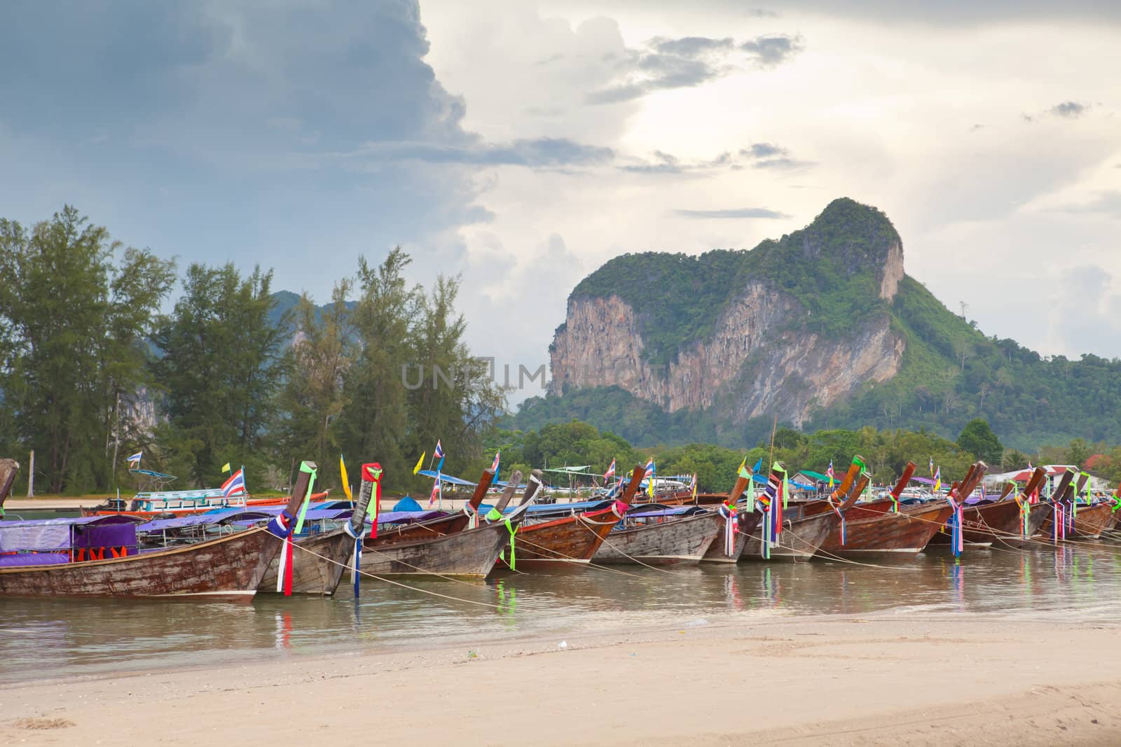 Cliff and the boats Phi Phi Leh south of Thailand
