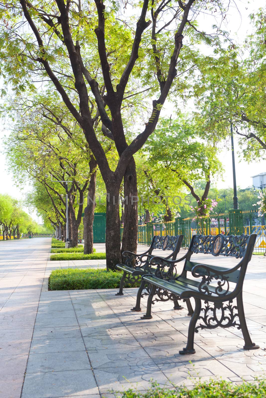 bench in park with tree and grass