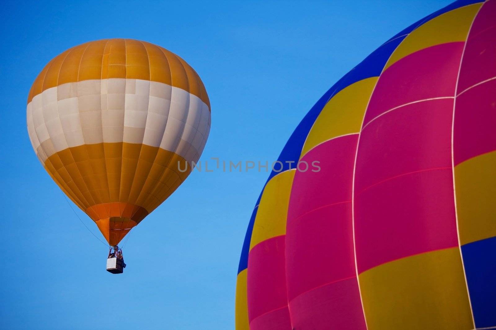 balloon in the sky