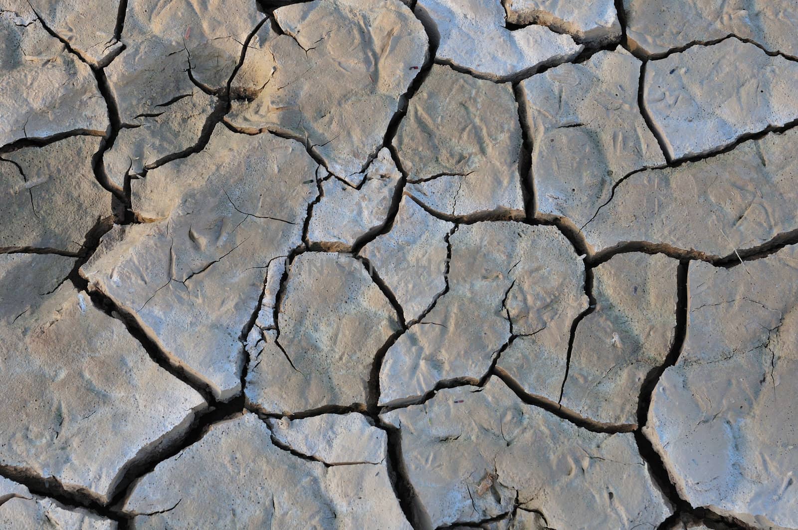 Cracked mud at Sossusvlei, Namibia by dpreezg