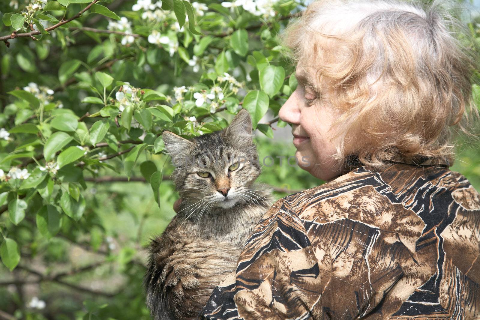 The old woman holds on hands cat against a blossoming tree