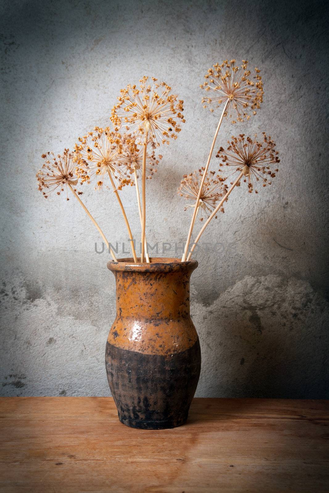 Old jug with dry flower against a cement wall