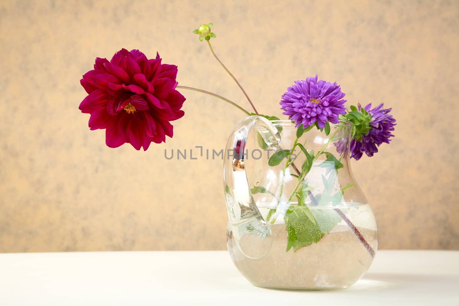 Asters and  peony in  glass jug on a table
