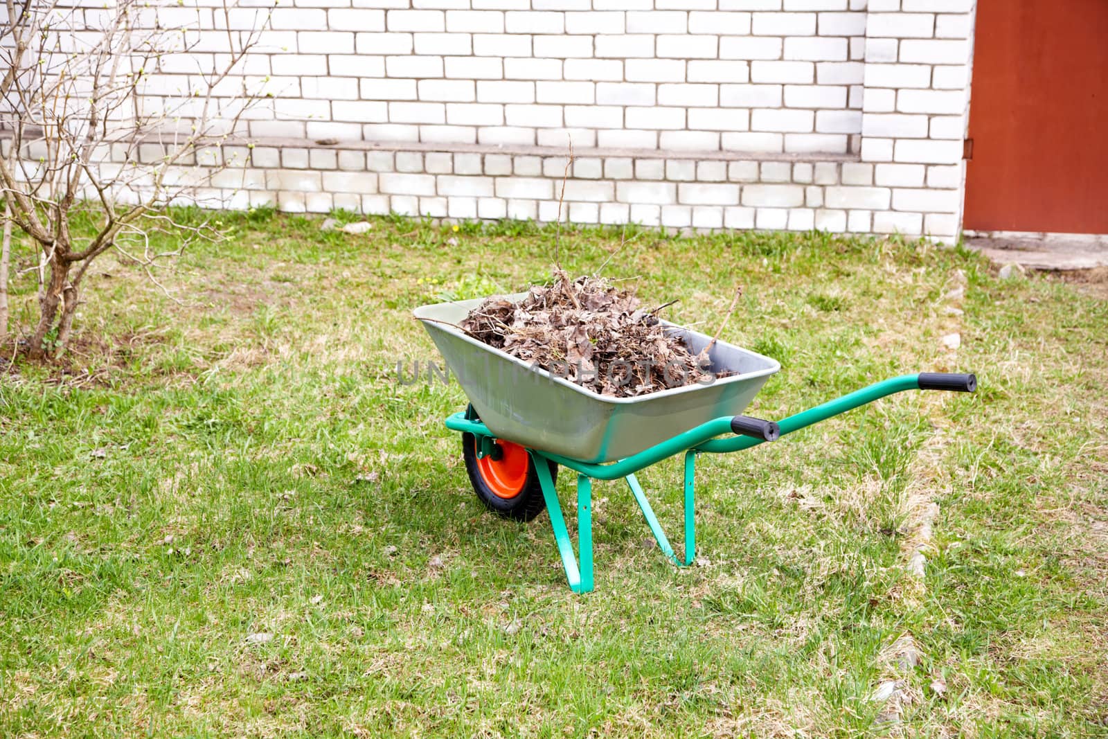 hand cart filled with dry leaves in the spring afternoon