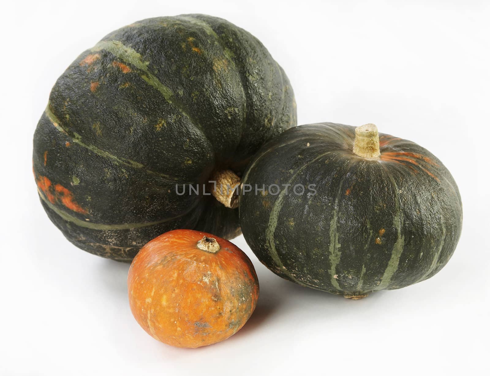 Yellow and green pumpkins on a white background