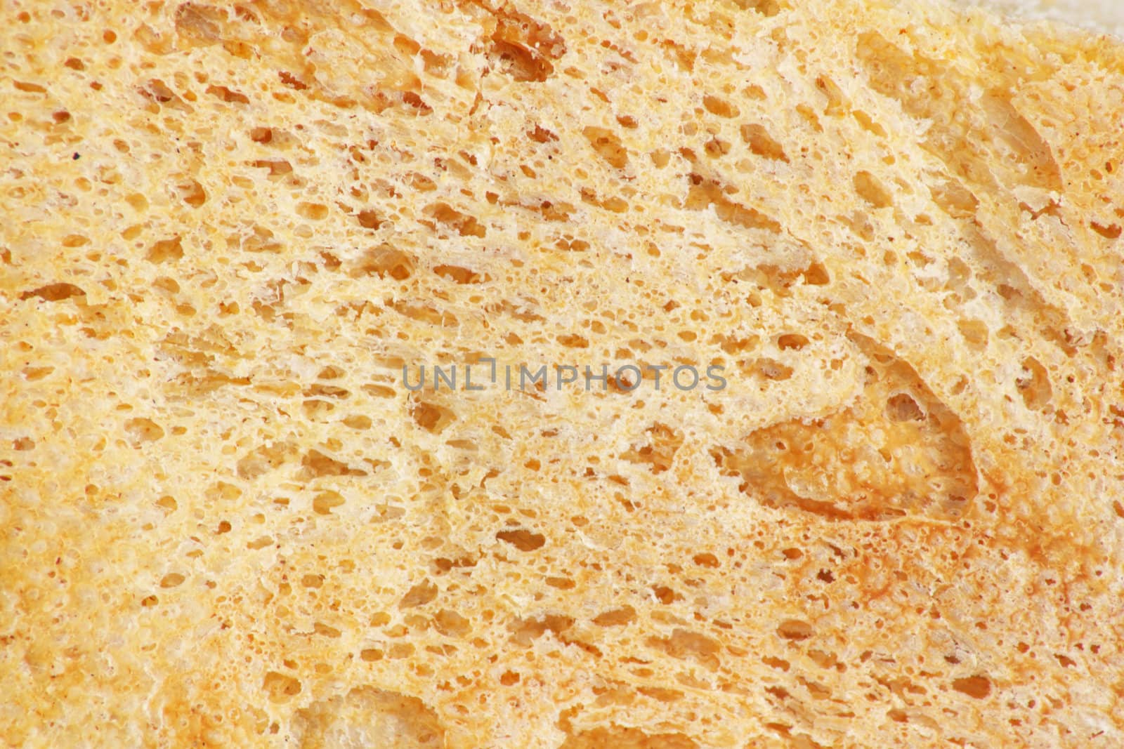 crust of bread as a backdrop. Macro