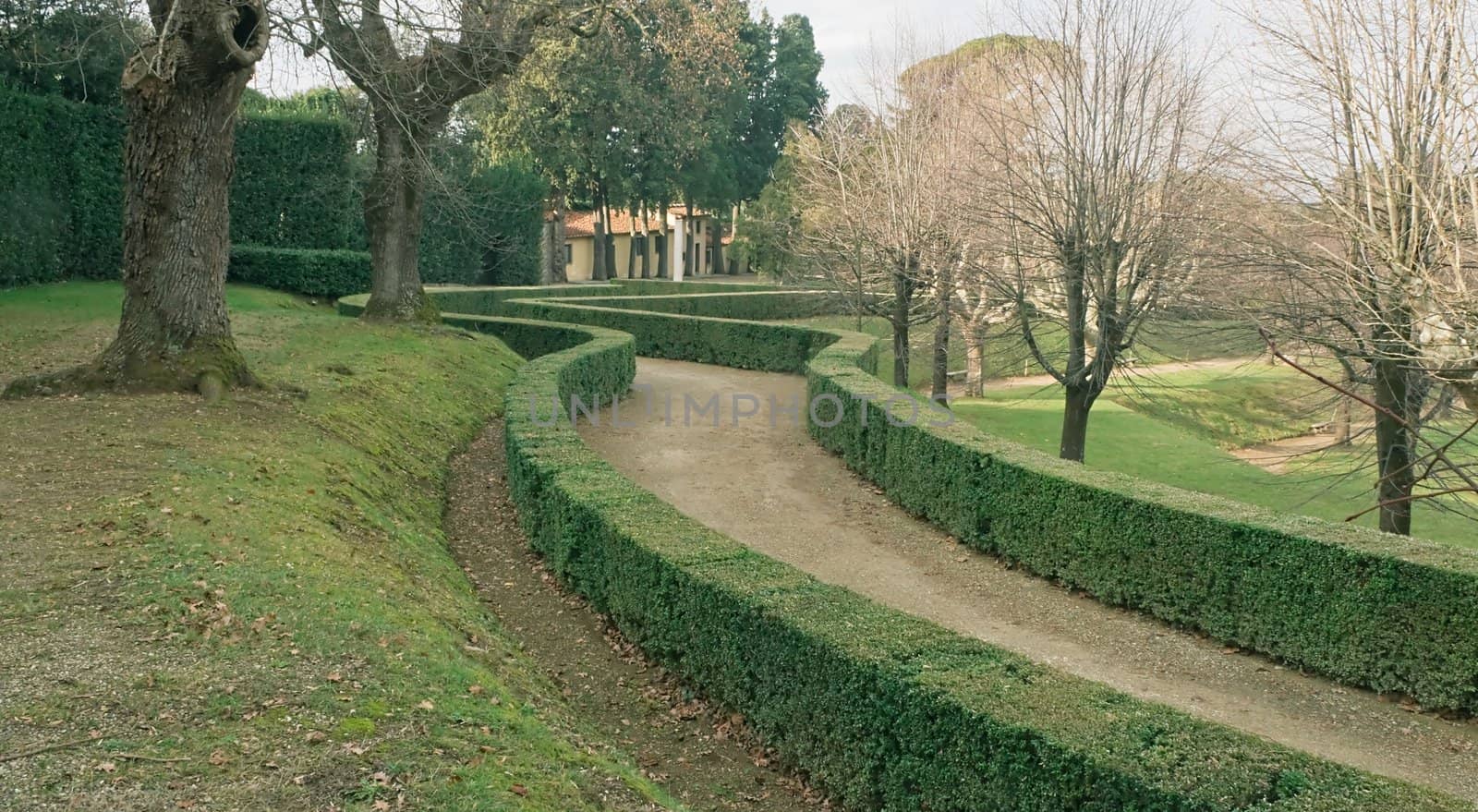 Walkway - a sample landscape design of gardens of Boboli in Florence