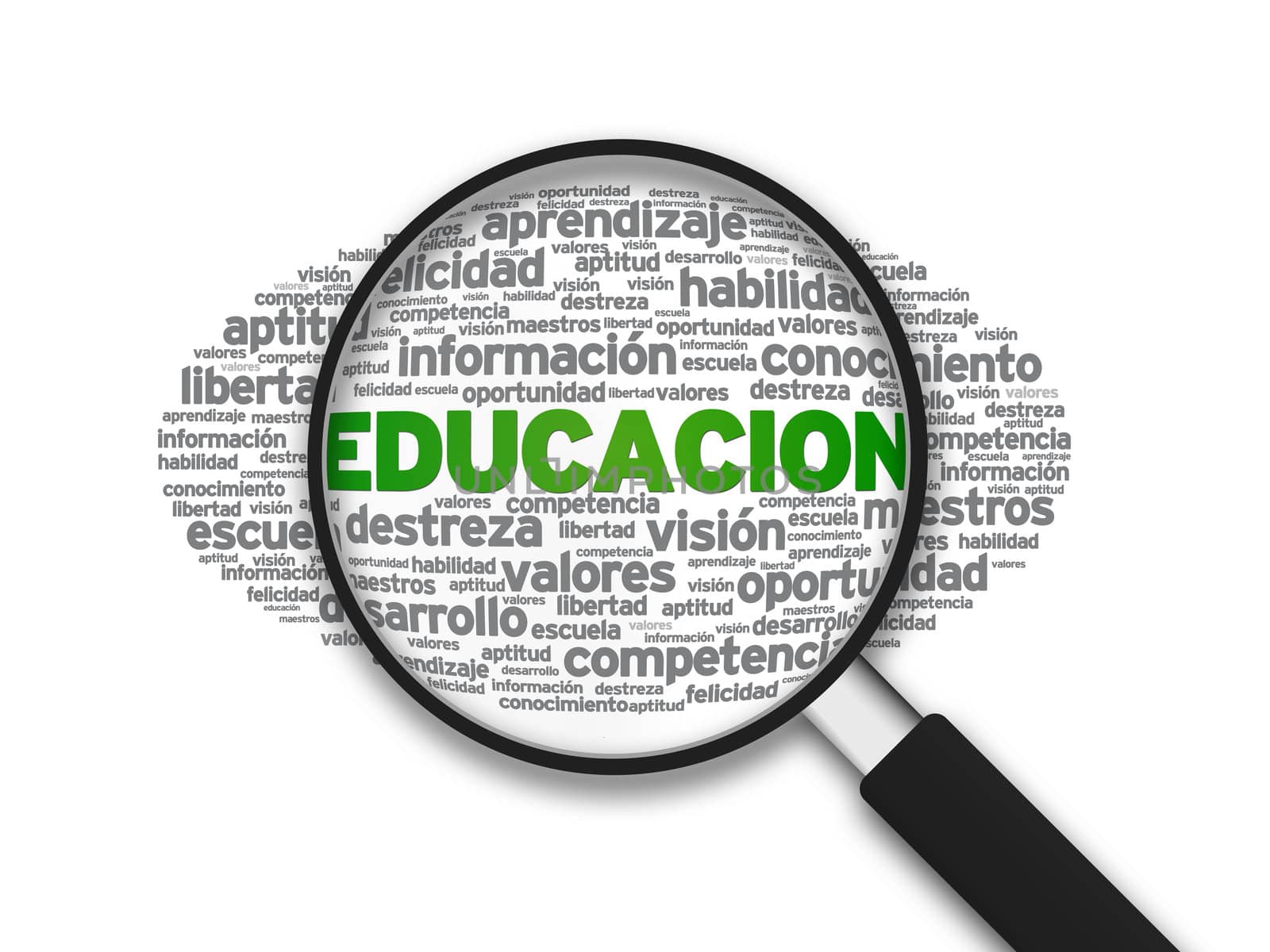 Magnified illustration with the word Educacion on white background.