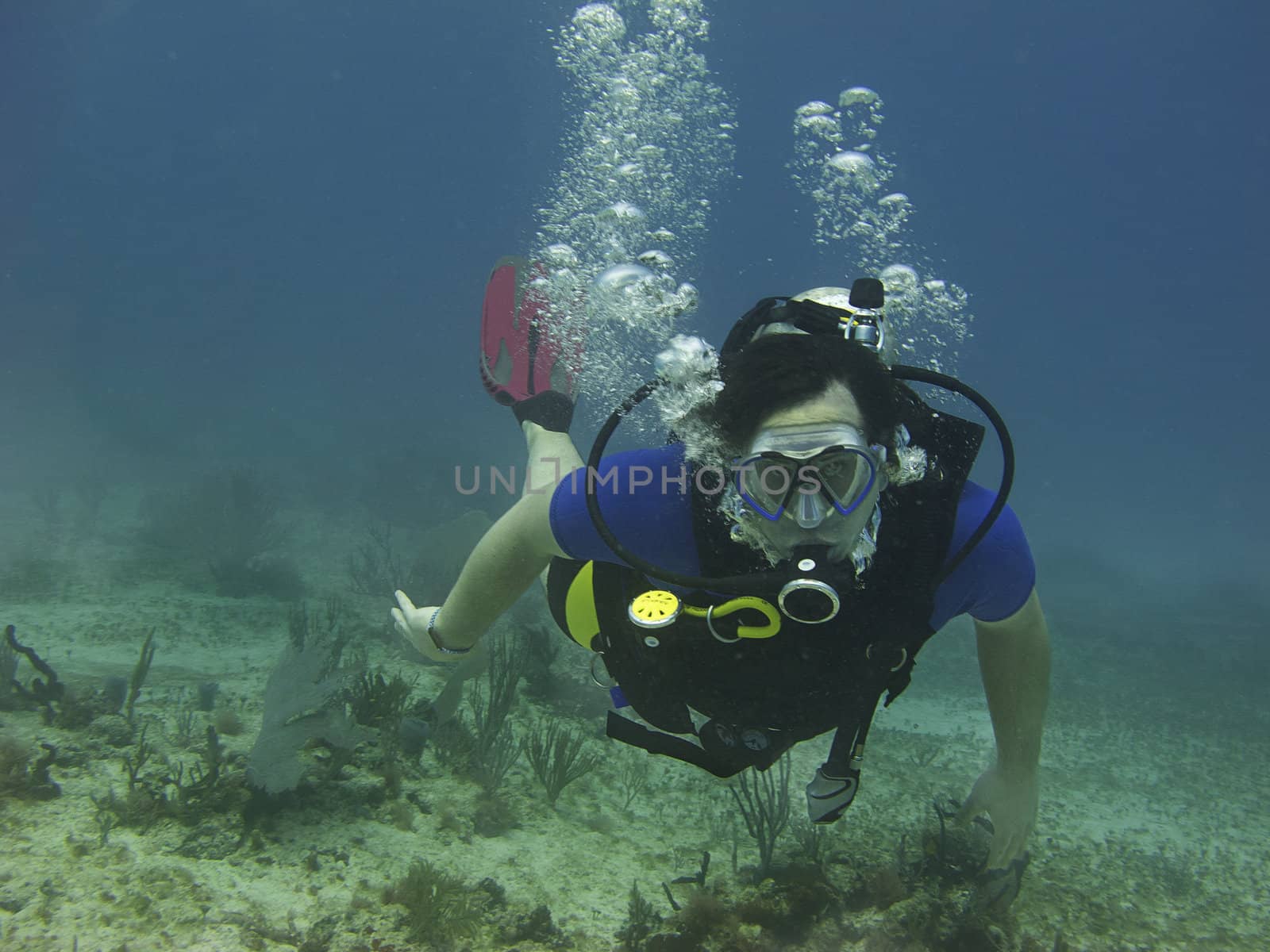 male scuba diver swimming in a reef