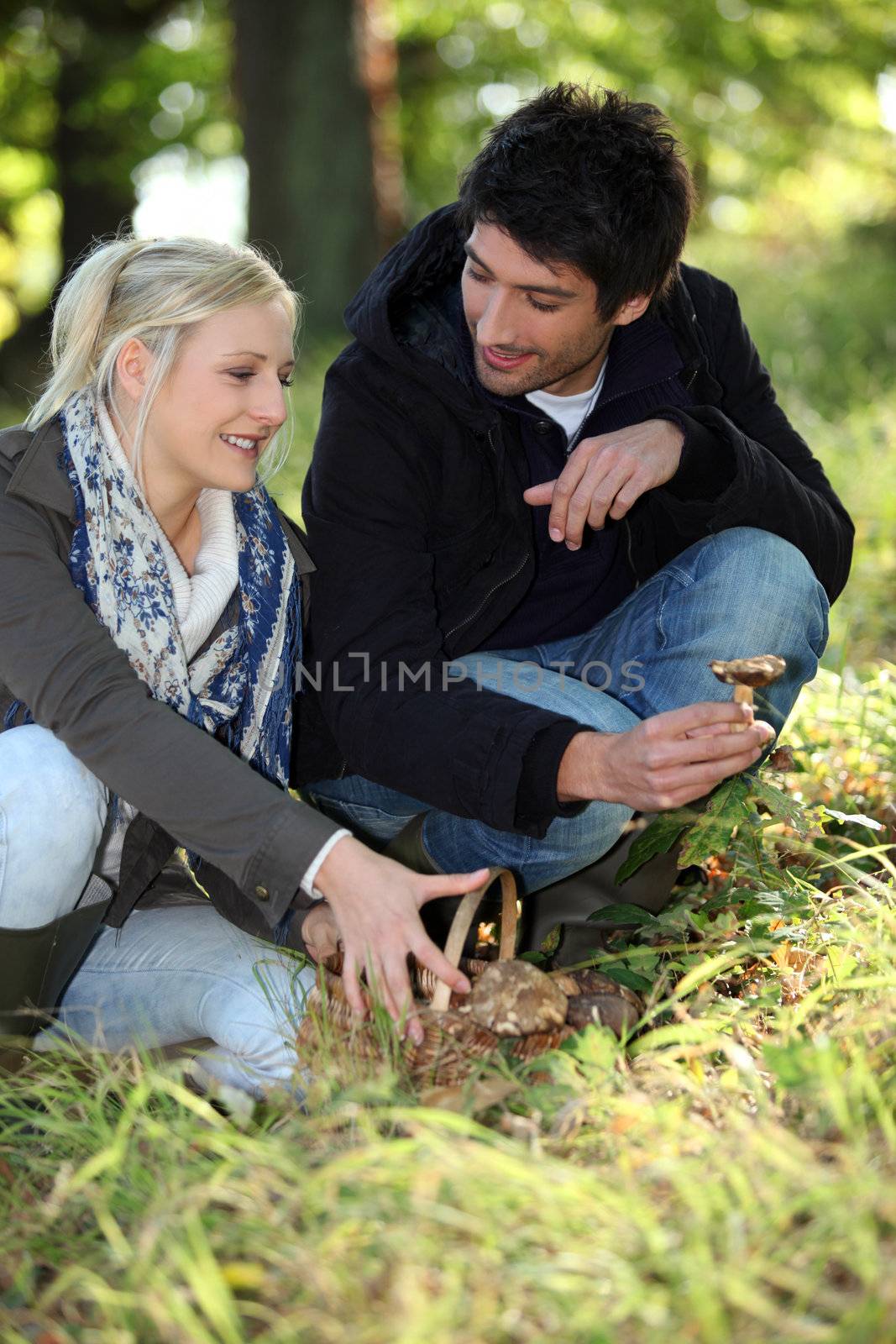 Couple gathering mushrooms in park by phovoir