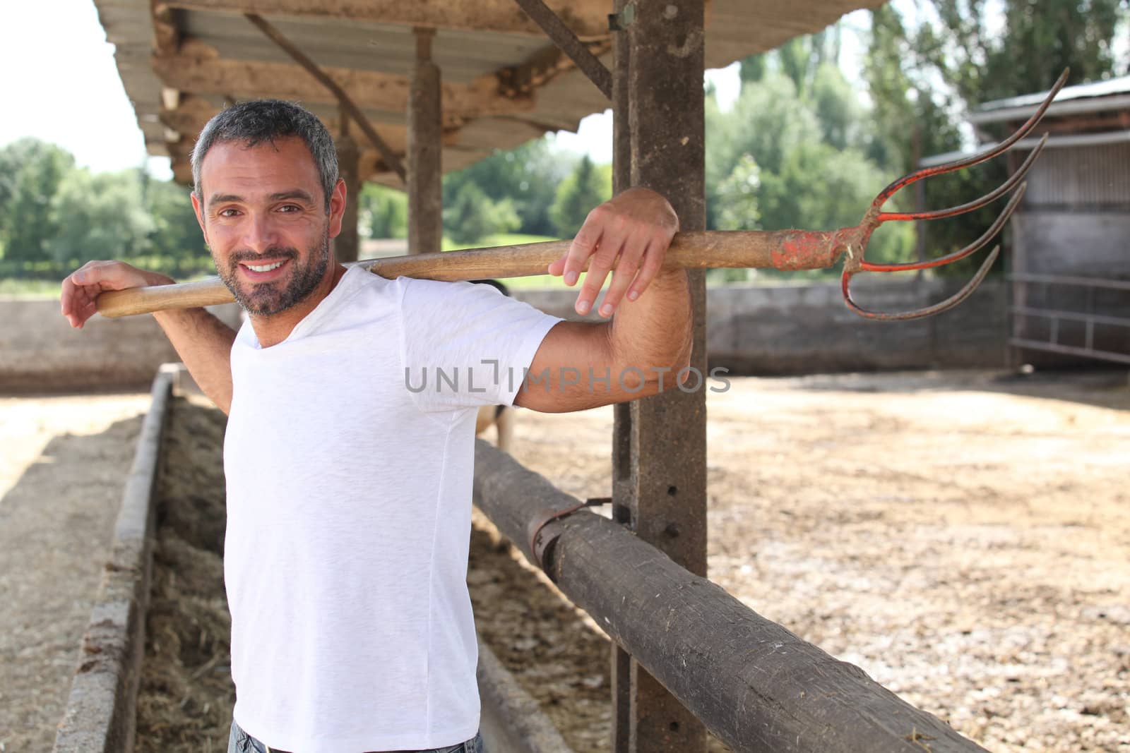 Farmer stood cleaning animal enclosure with pitch fork