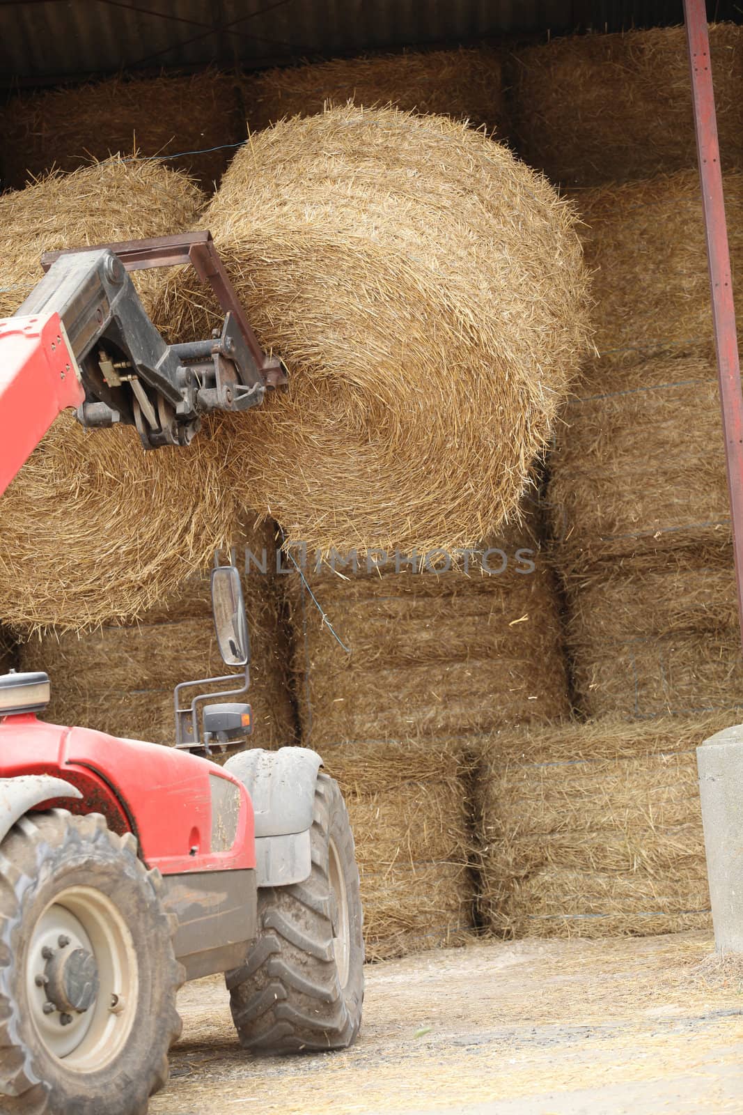 Tractor lifting bail of hay by phovoir