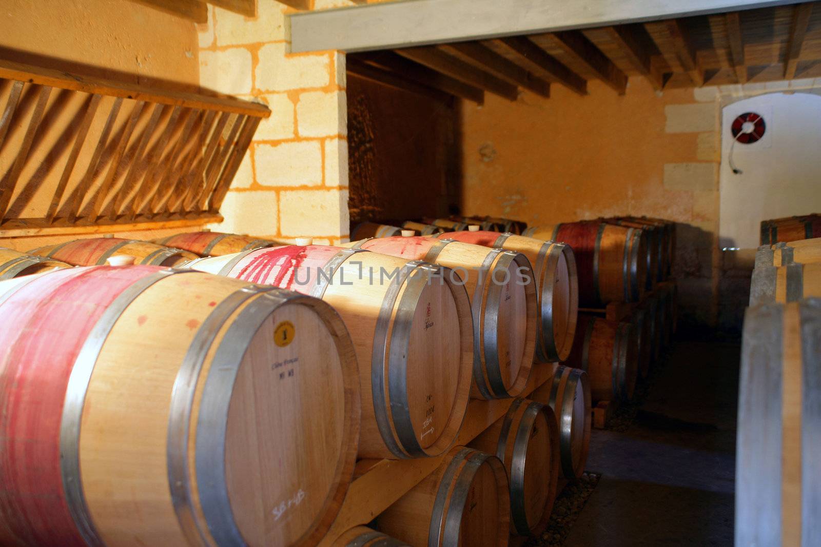 Wine cellar by phovoir
