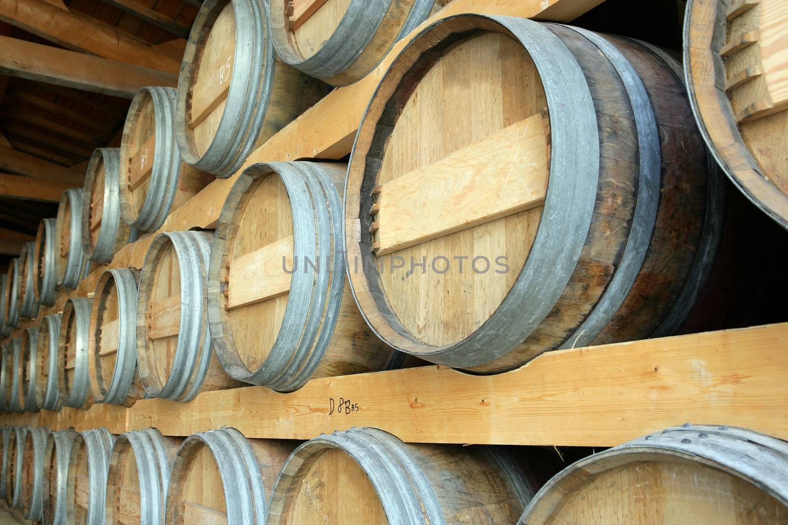 Barrels stored in a cellar