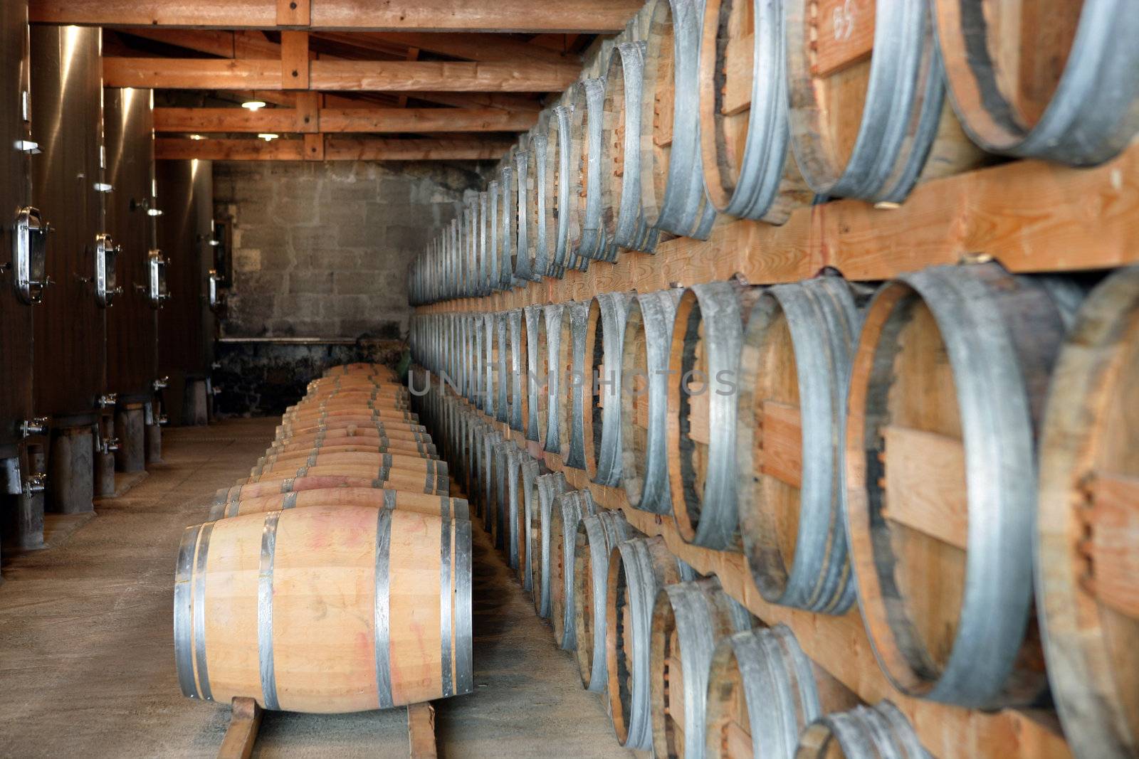 Wine storage cellar by phovoir