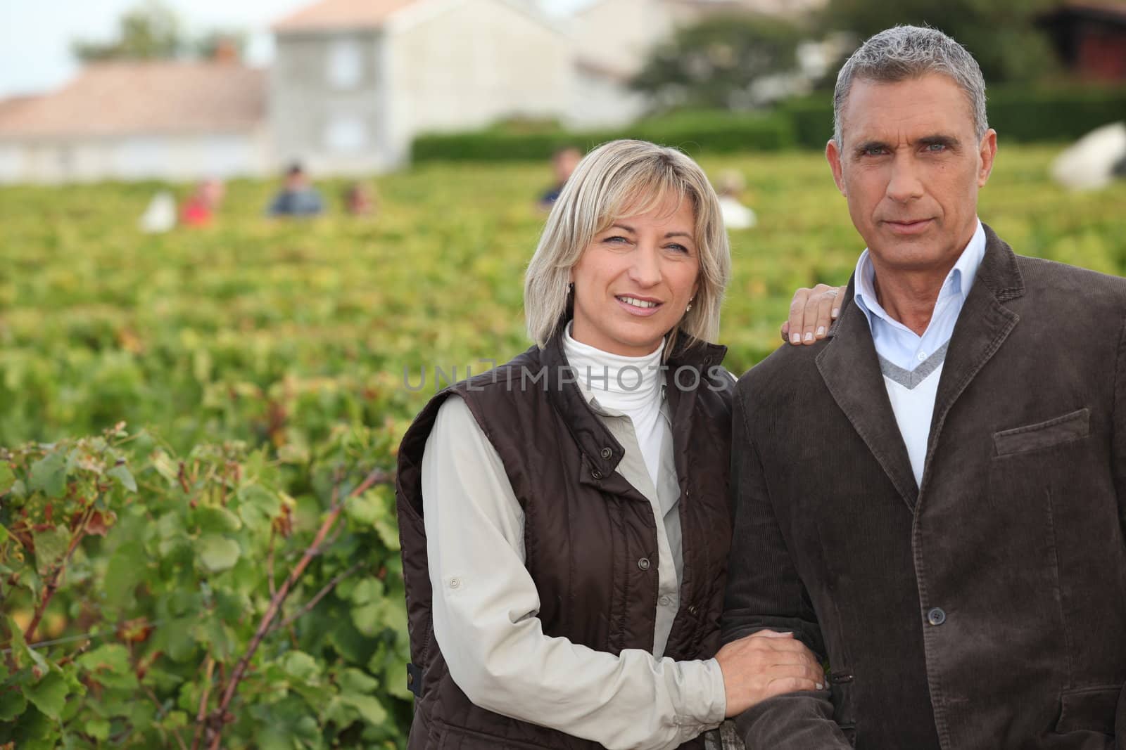 Couple in front of vineyard by phovoir