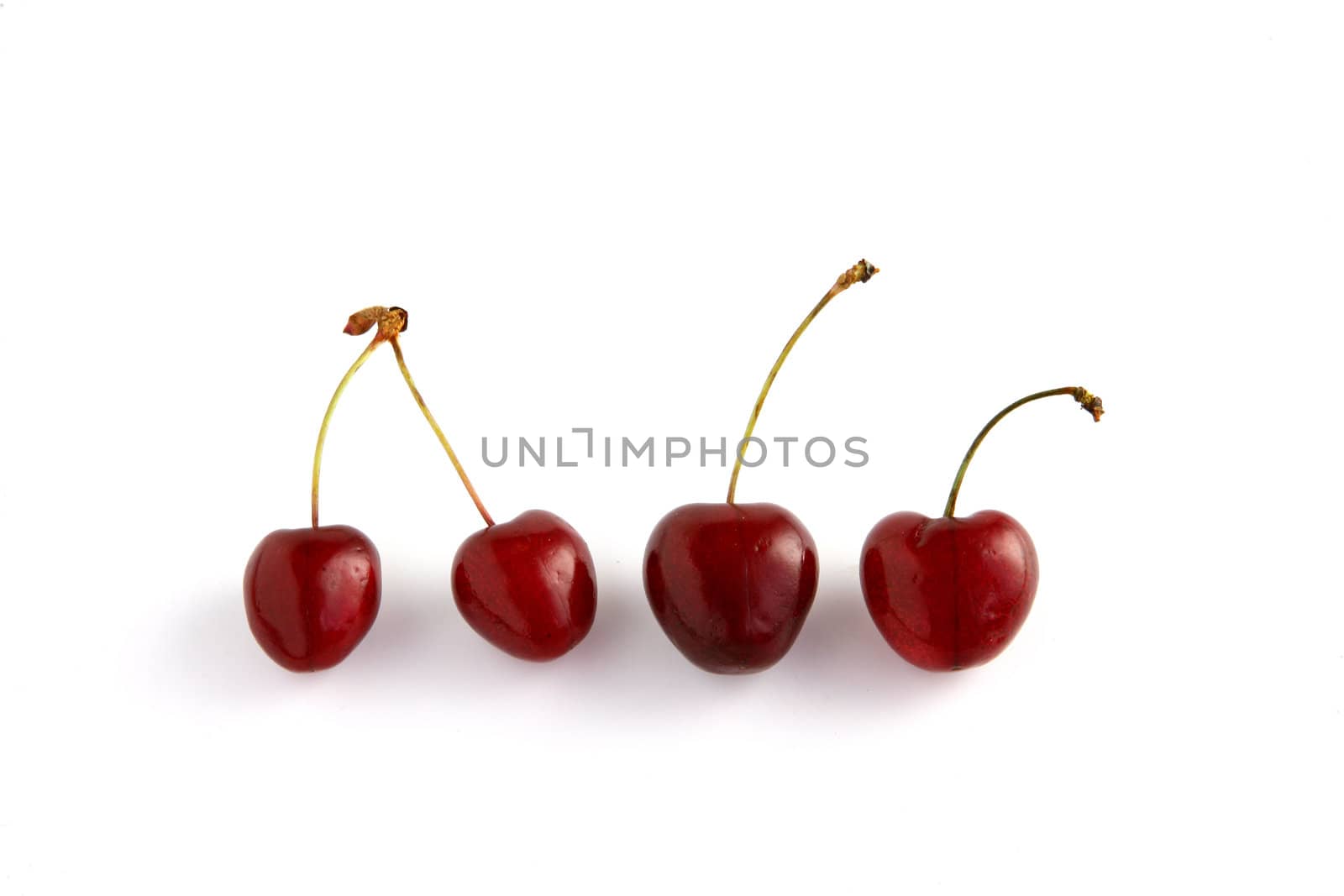 Row of cherries by phovoir
