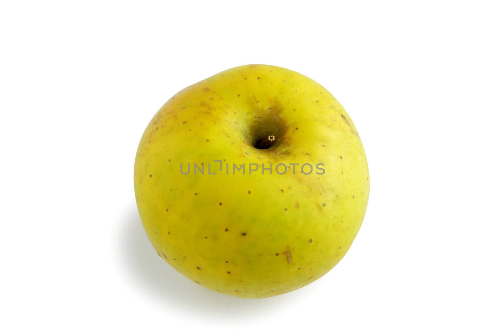 Apple by phovoir