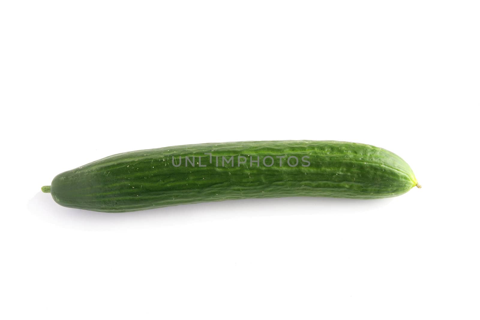 Cucumber by phovoir