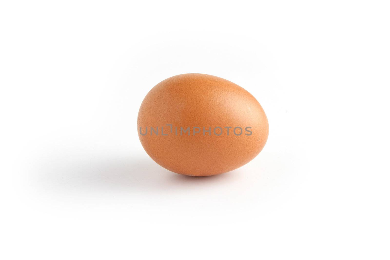 Single egg on white background by phovoir
