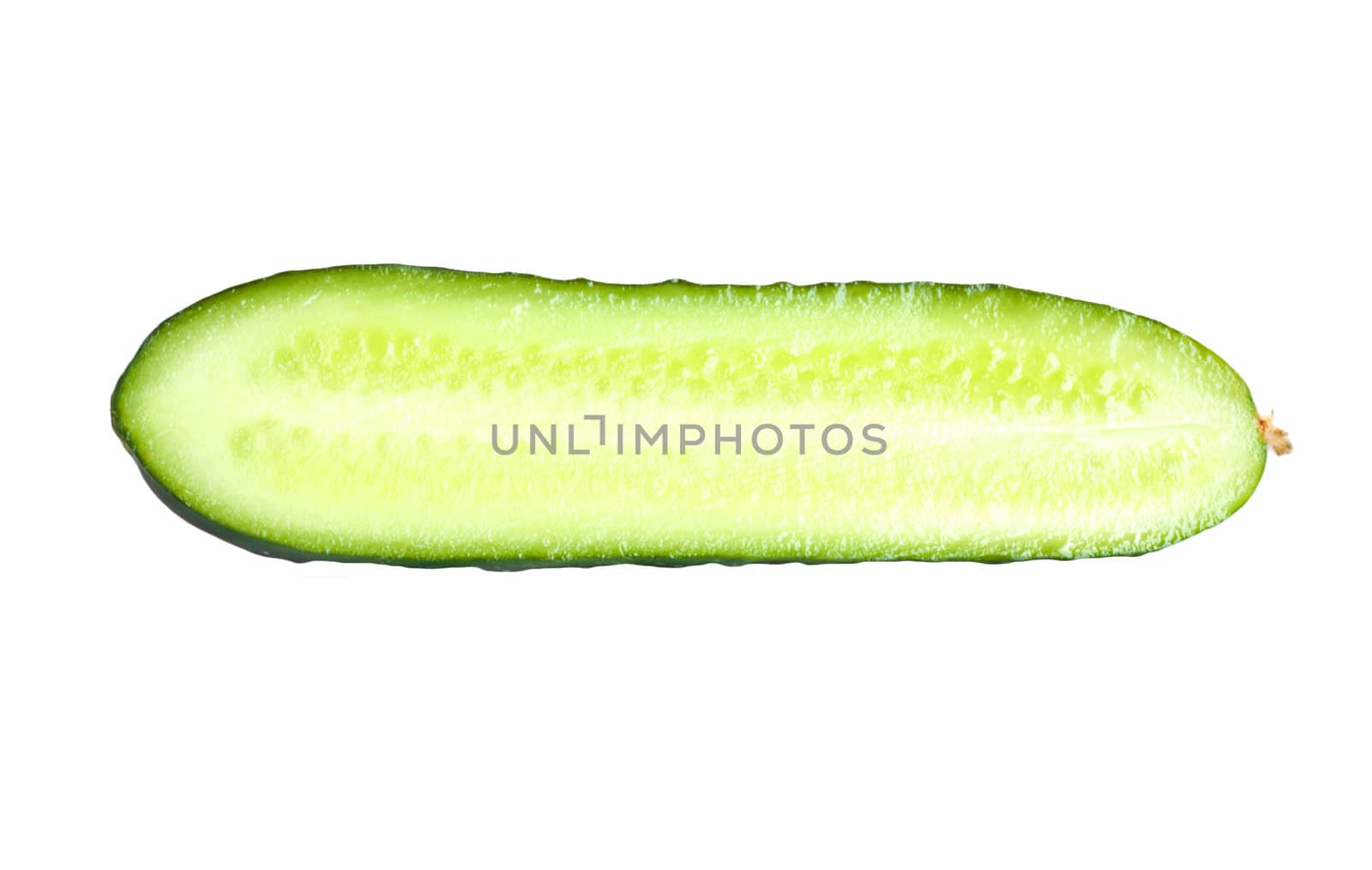 Cucumber  by schankz