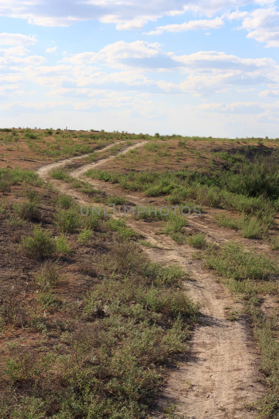 Zigzag of earth road on the meadow by schankz