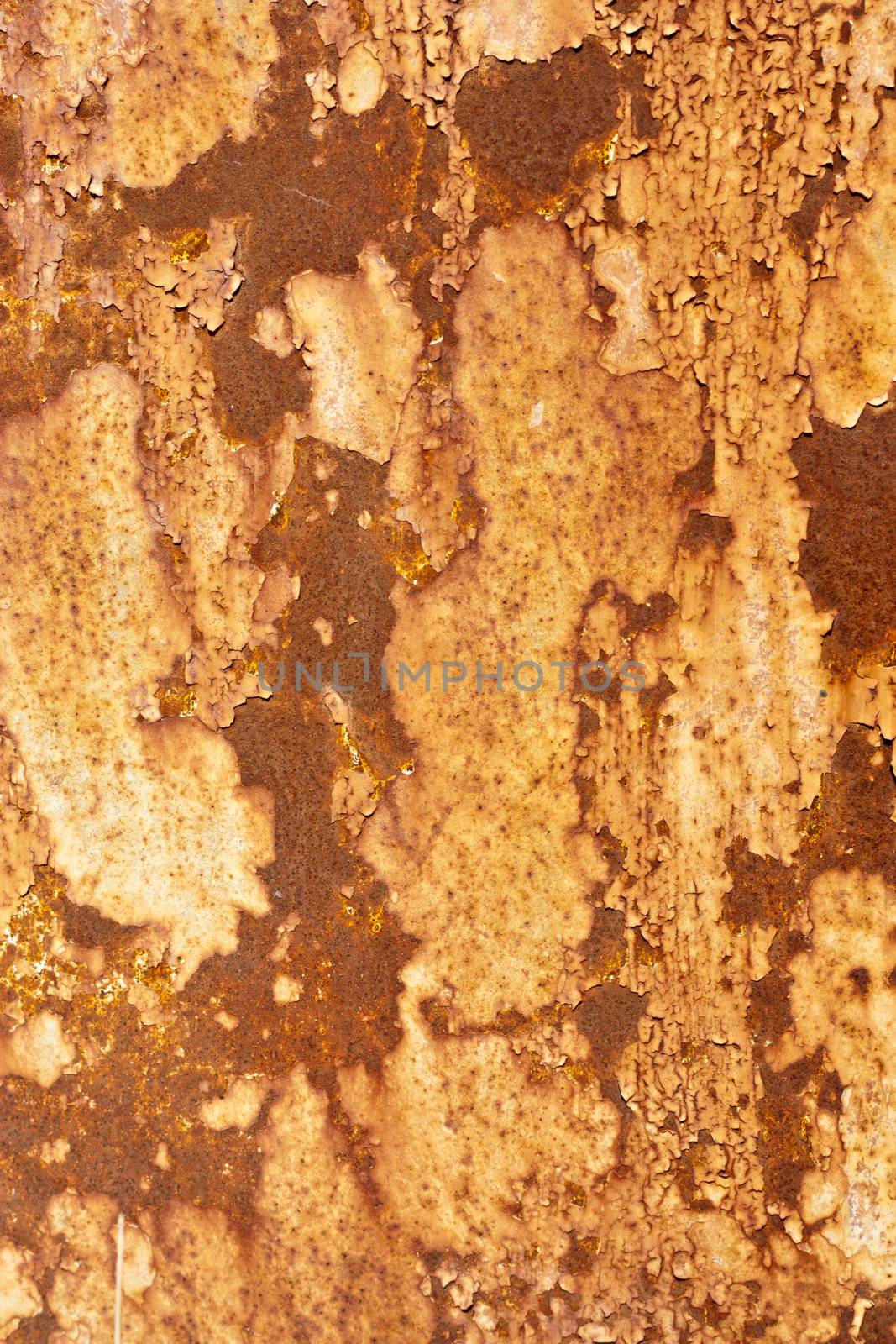 large Rust backgrounds - perfect background with space for text  by schankz