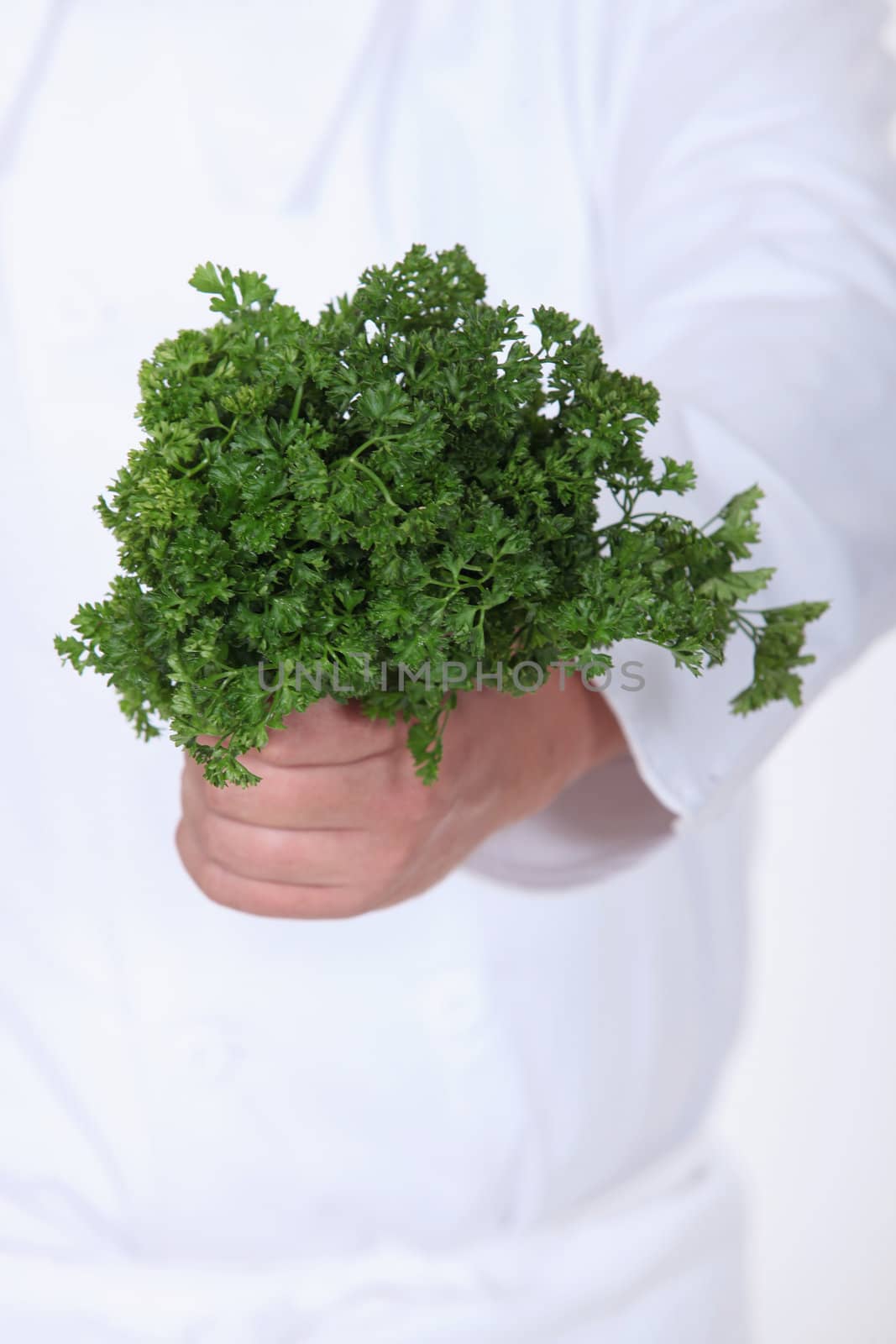 A bunch of parsley