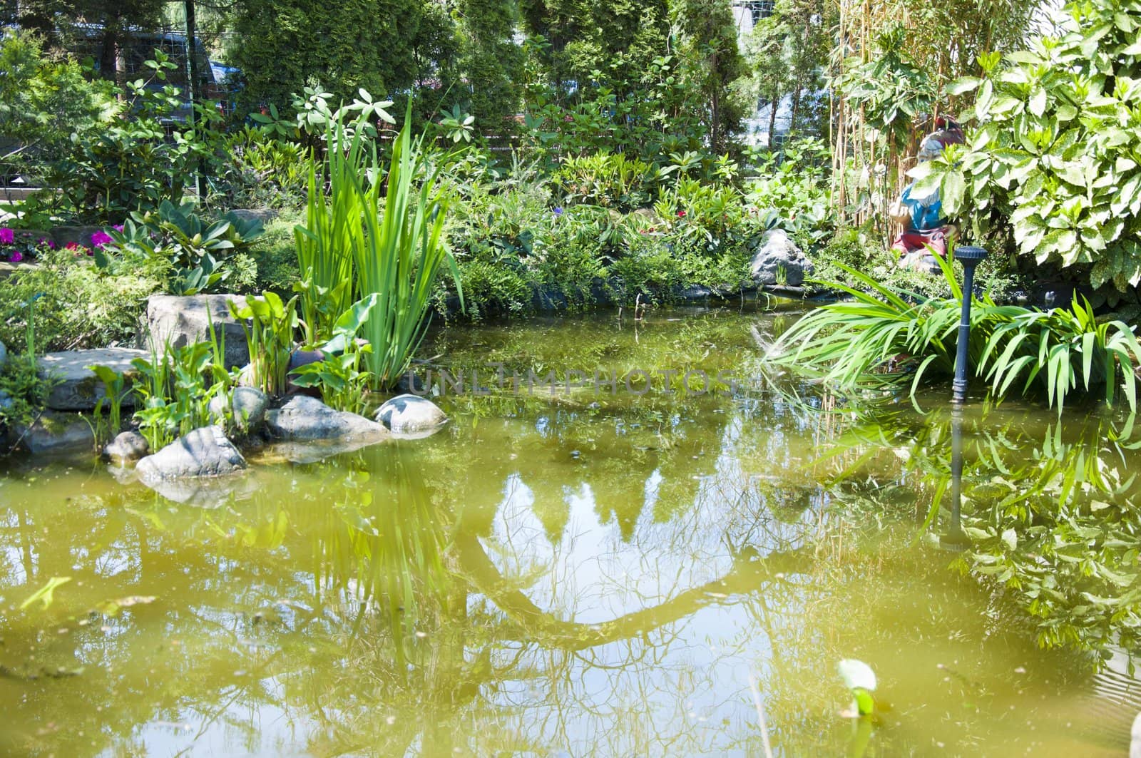 Sunny day in Riviera park in city Sochi