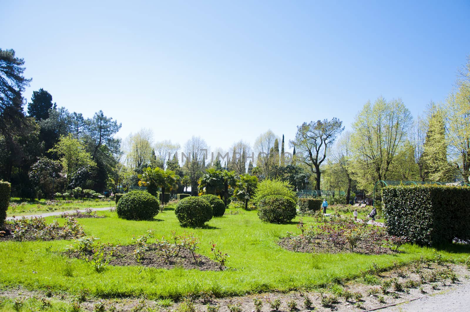 Sunny day in Riviera park in city Sochi