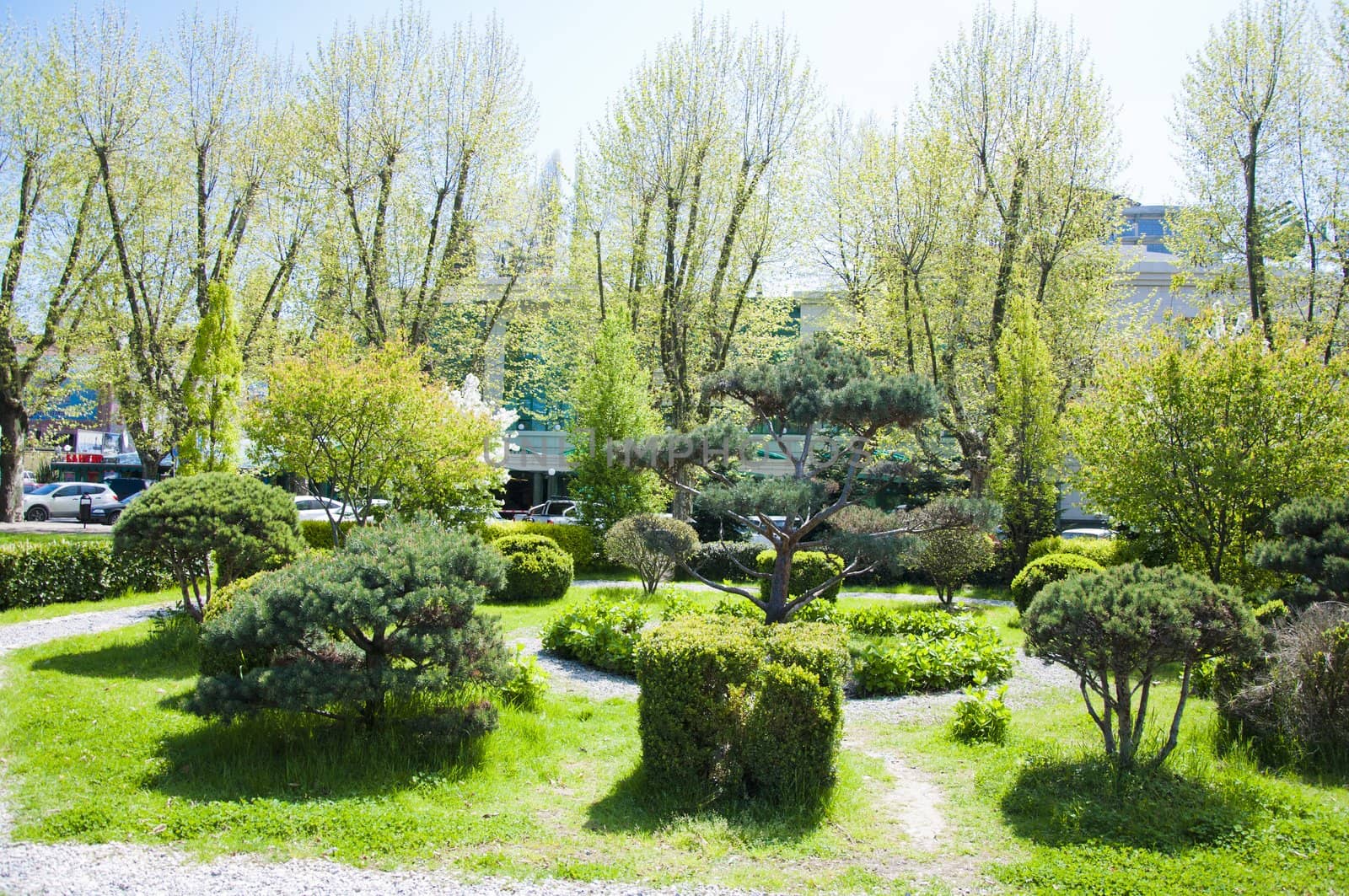 Sunny day in Riviera park in city Sochi